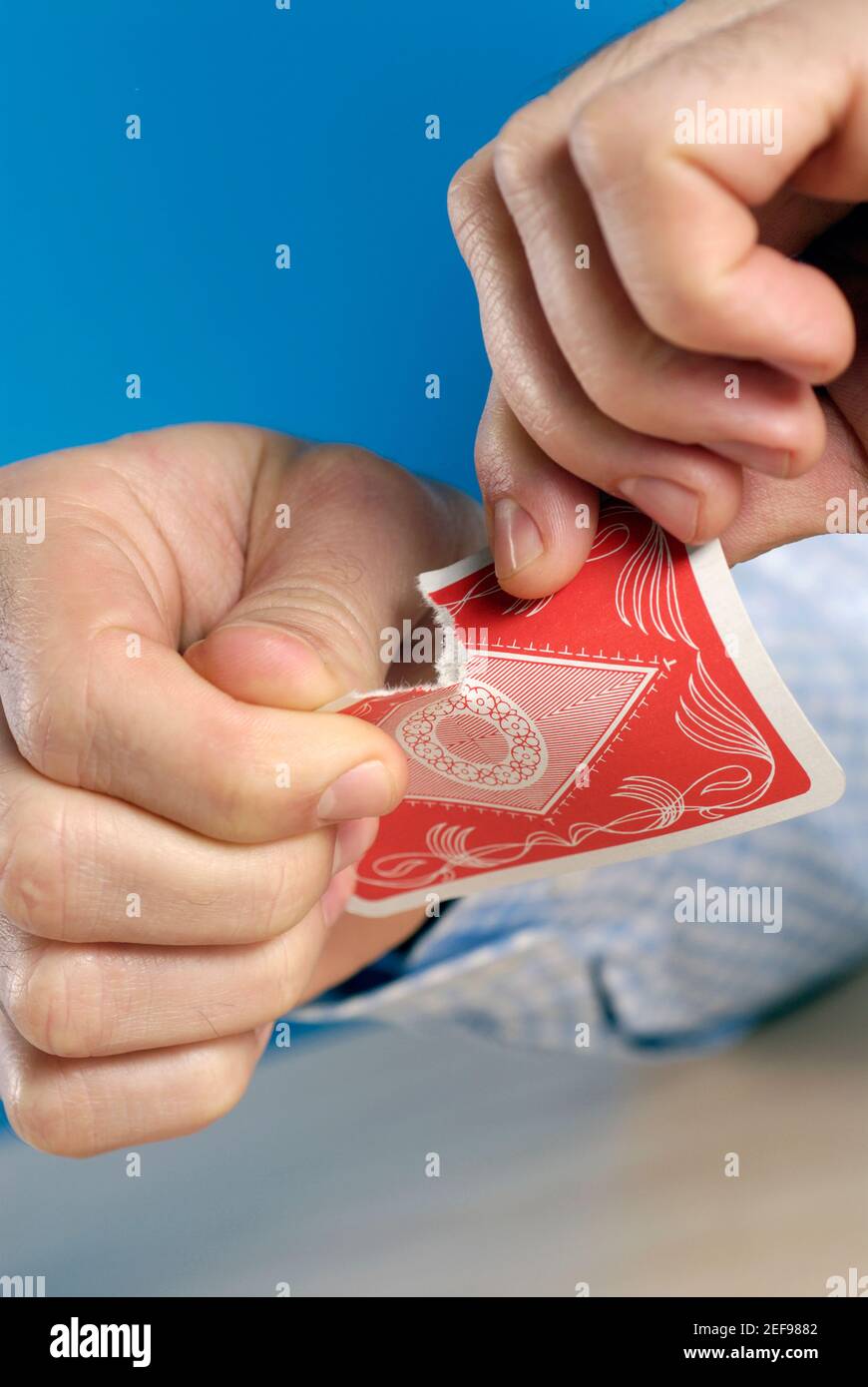 Close-up of a personÅ½s hands tearing a card Stock Photo