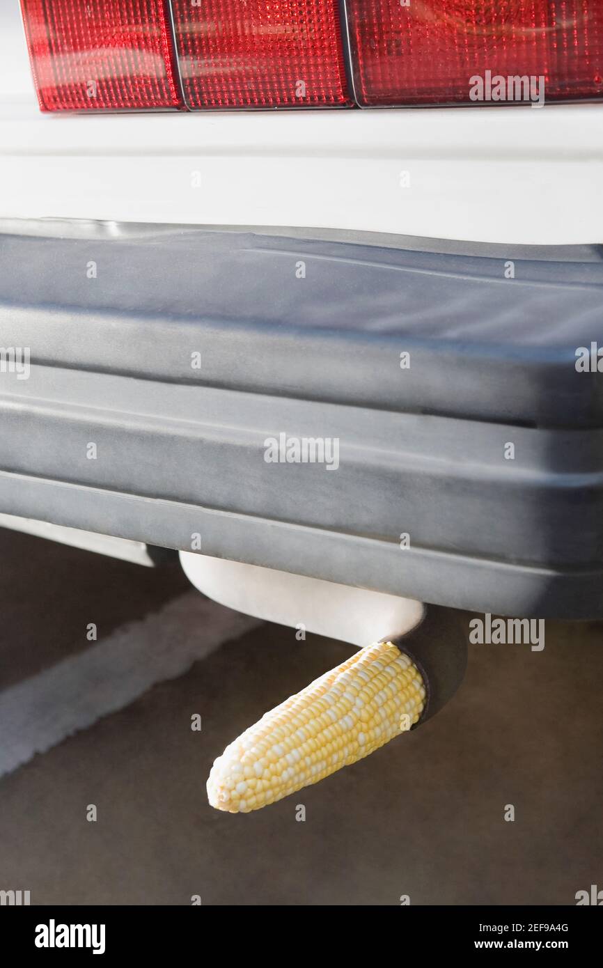 Close up of a corn cob in the exhaust pipe of a car Stock Photo