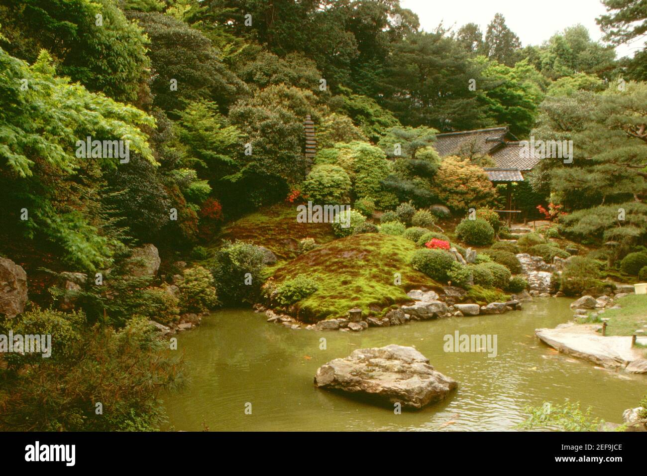 Pond in a garden, Katsura Imperial Villa, Kyoto, Japan Stock Photo