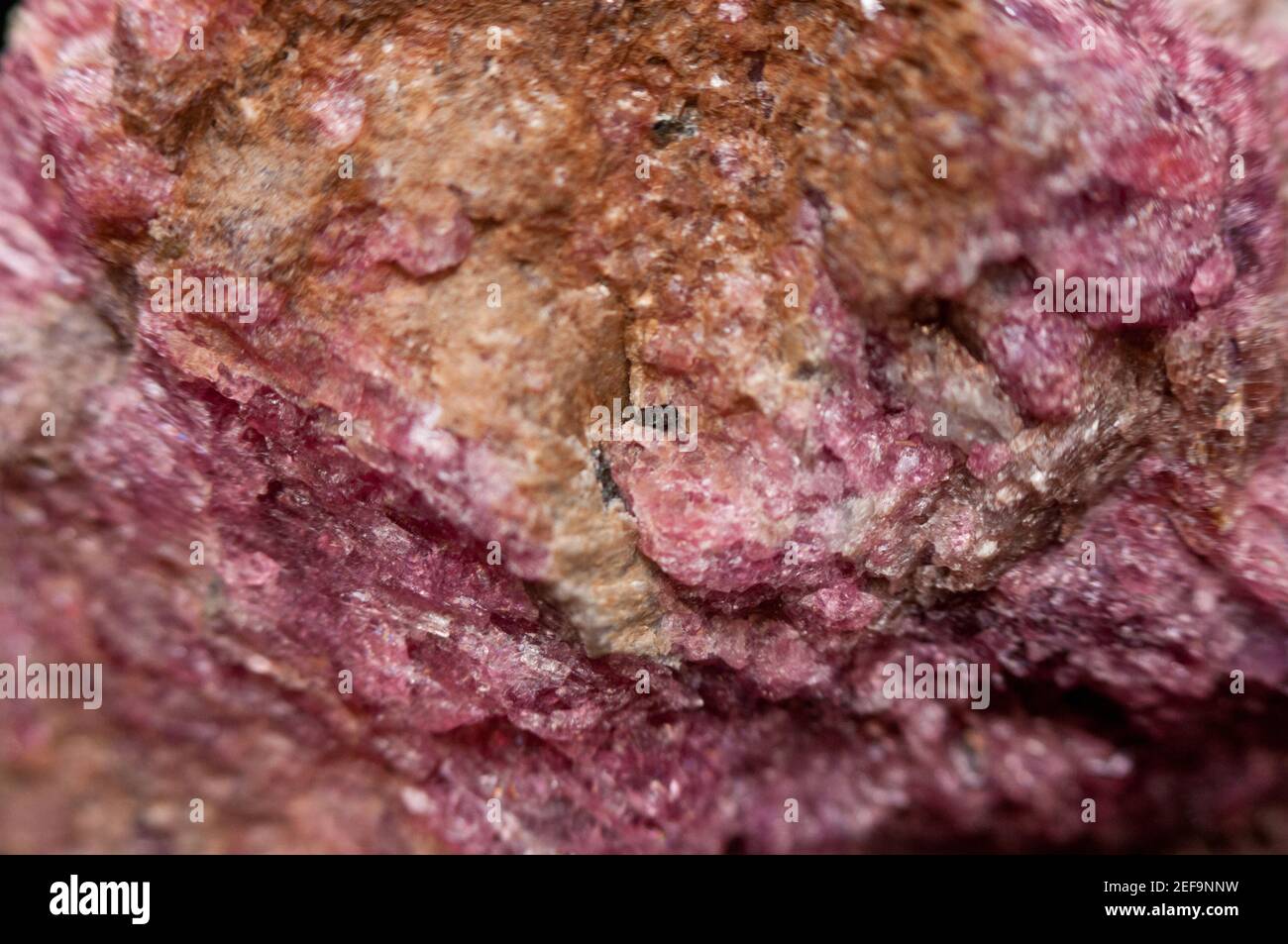eudialyte mineral sample Stock Photo