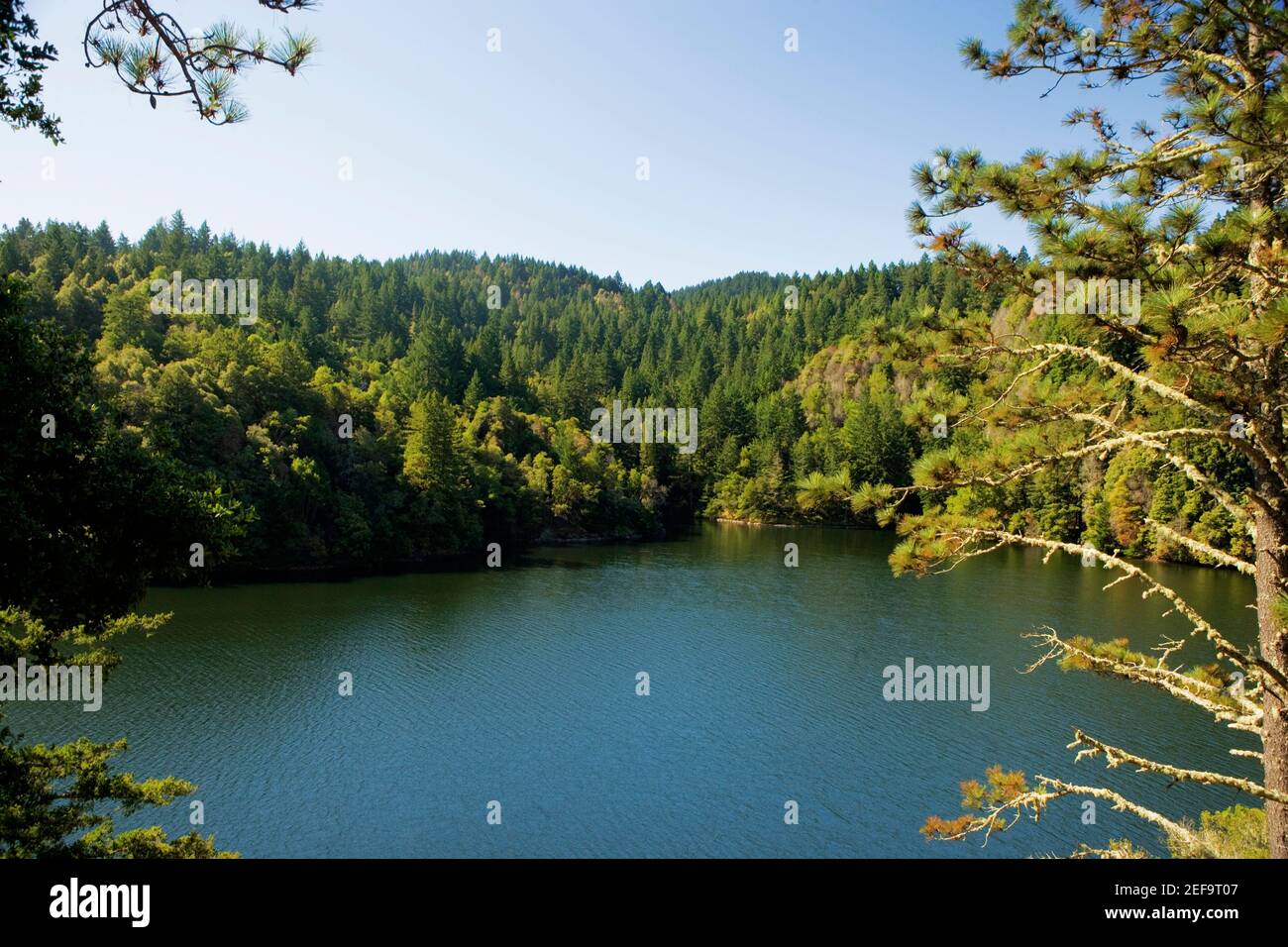 Panoramic view of a lake, Mt. Tamalpais State Park, California, USA Stock Photo