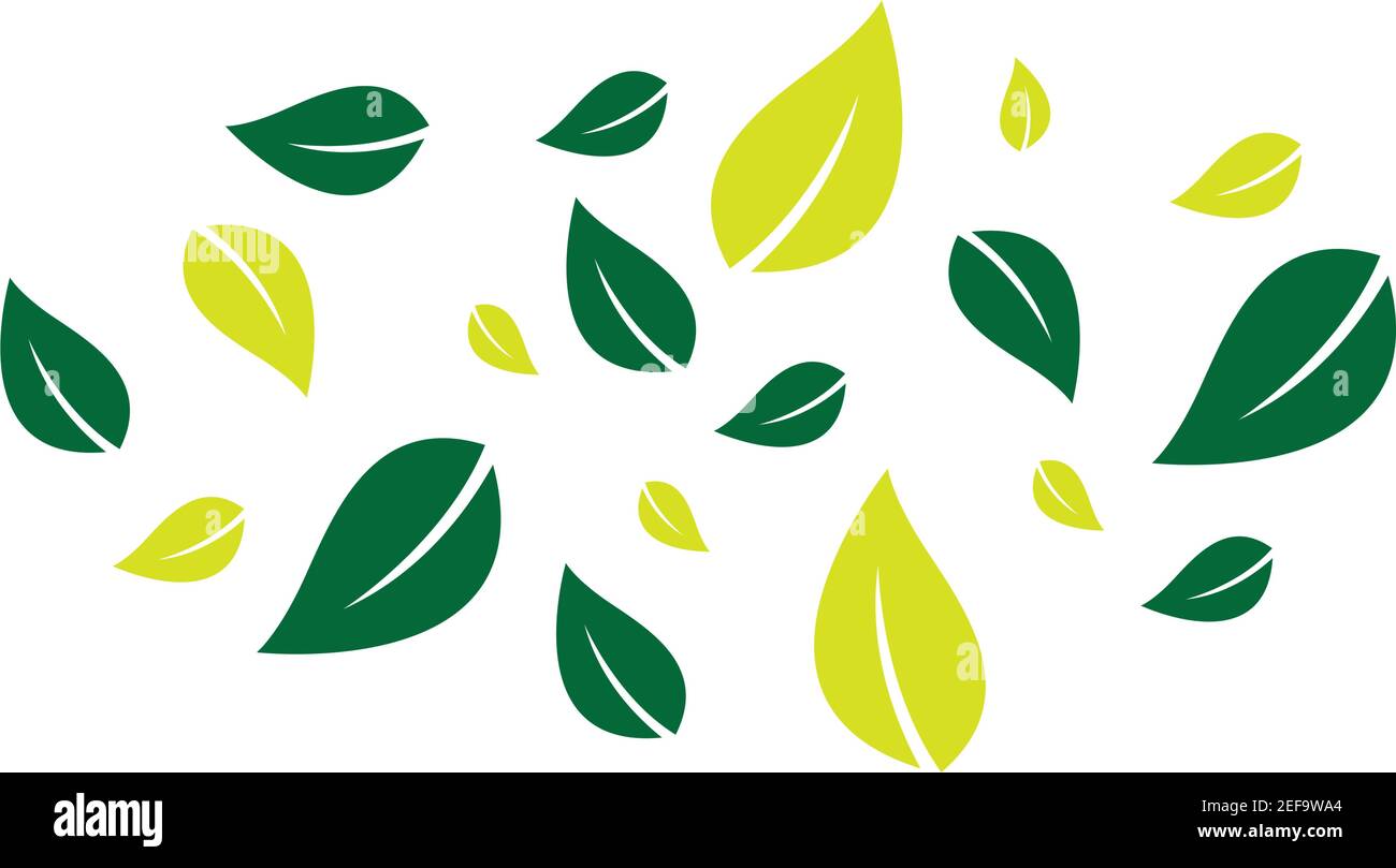 Natural leaf images illustration design Stock Vector Image & Art - Alamy