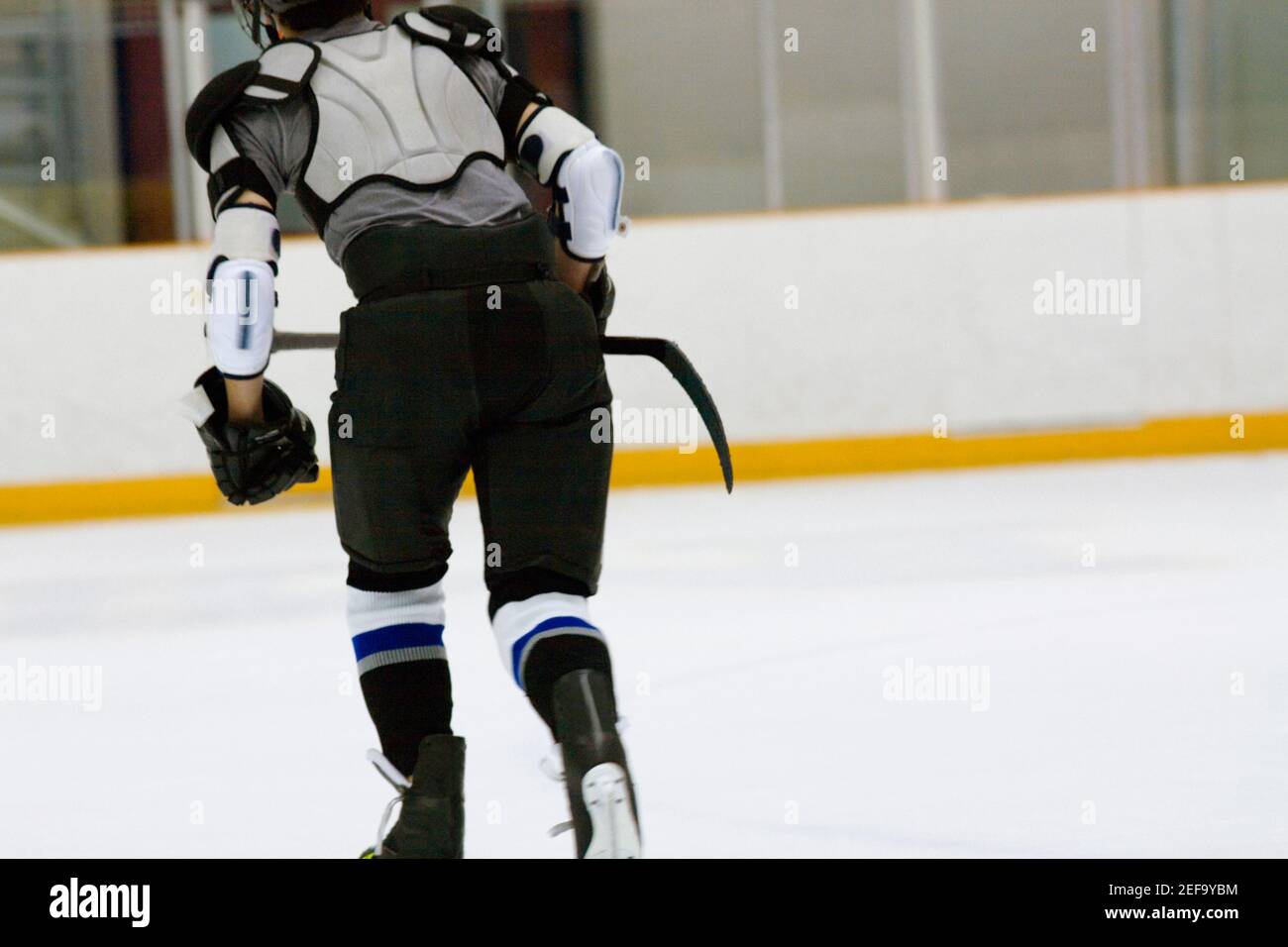 Rear view of an ice hockey player playing ice hockey Stock Photo Alamy