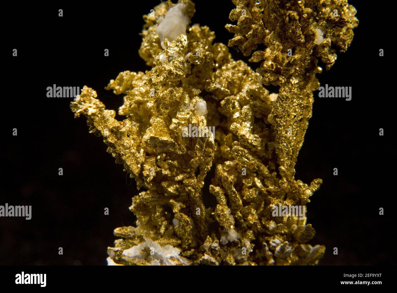 wire gold mineral sample Stock Photo