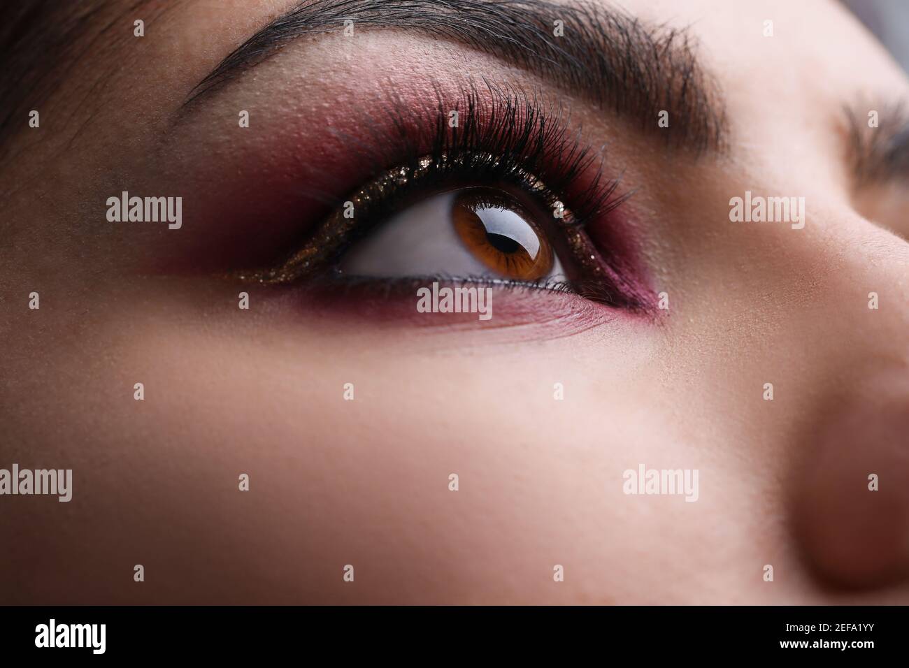 Woman's face with professional eye makeup closeup Stock Photo
