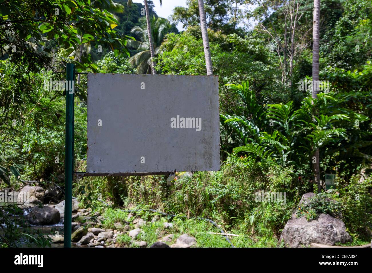 Blank signpost in green forest. Empty sign on metallic pillar in tropical rainforest. Hiking in jungle forest banner template. Forbidden sign in natur Stock Photo