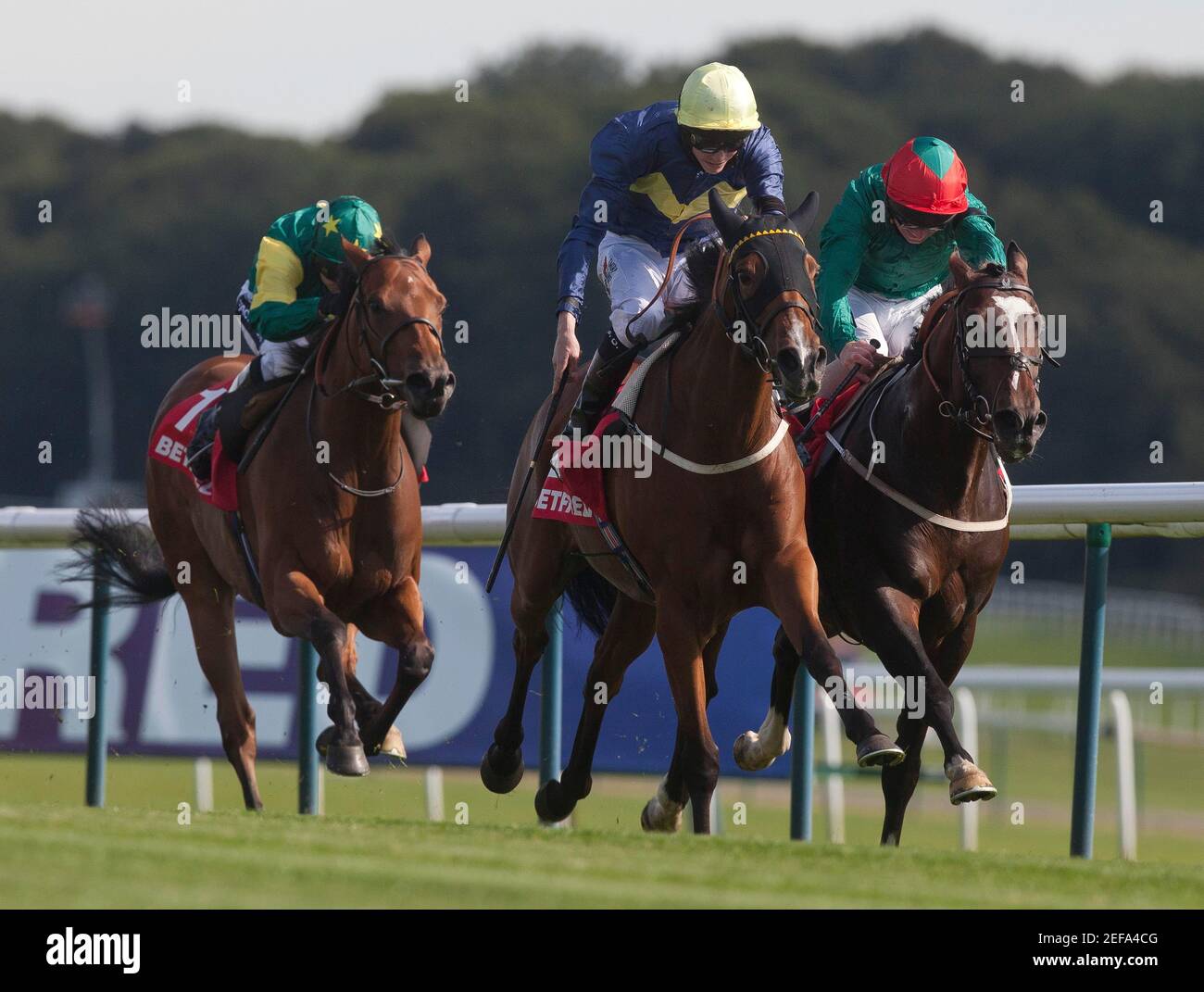 Horse Racing Celebrating Win High Resolution Stock Photography And Images Alamy