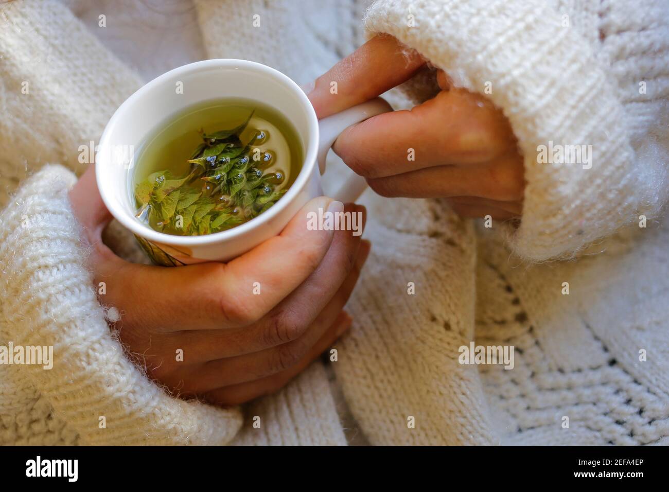 Sage tea hires stock photography and images Alamy