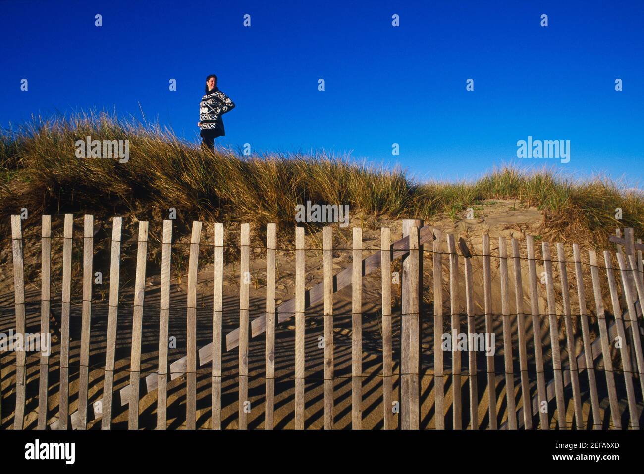Low angle view of a woman standing on top of a hill, Cape Cod, Massachusetts, USA Stock Photo