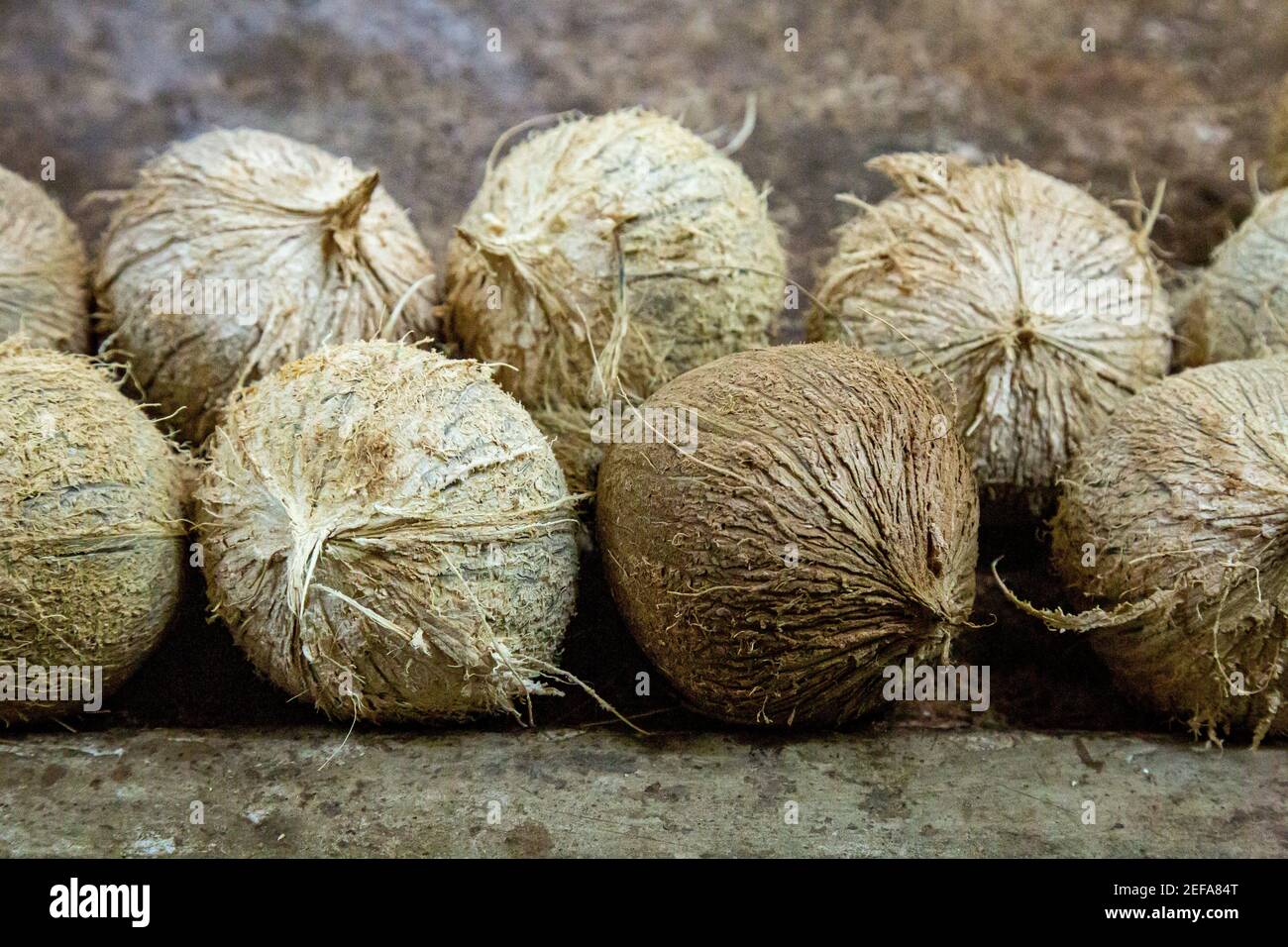 Coconuts for sale on a market stall Stock Photo Alamy