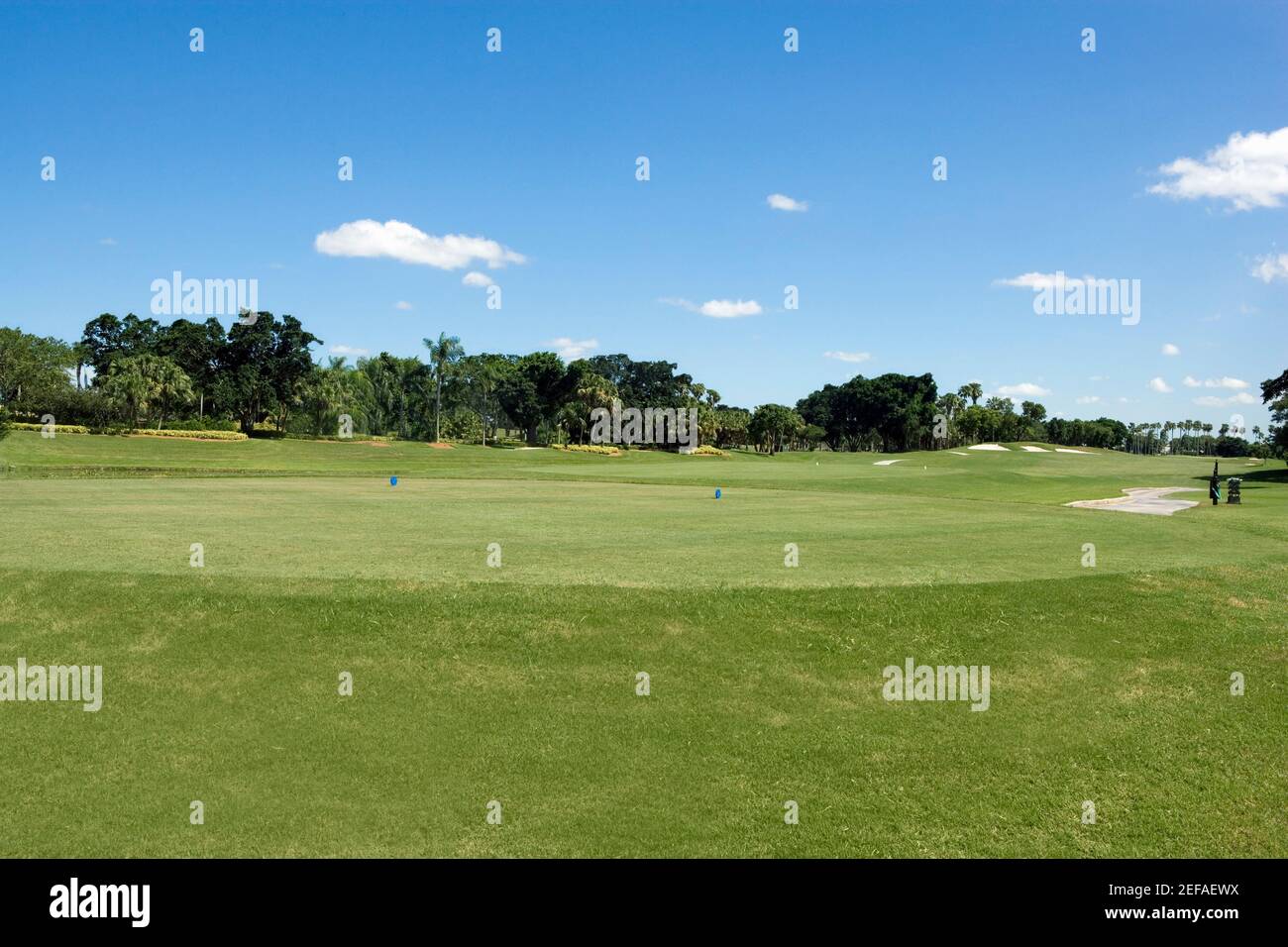 Trees In A Golf Course Stock Photo - Alamy