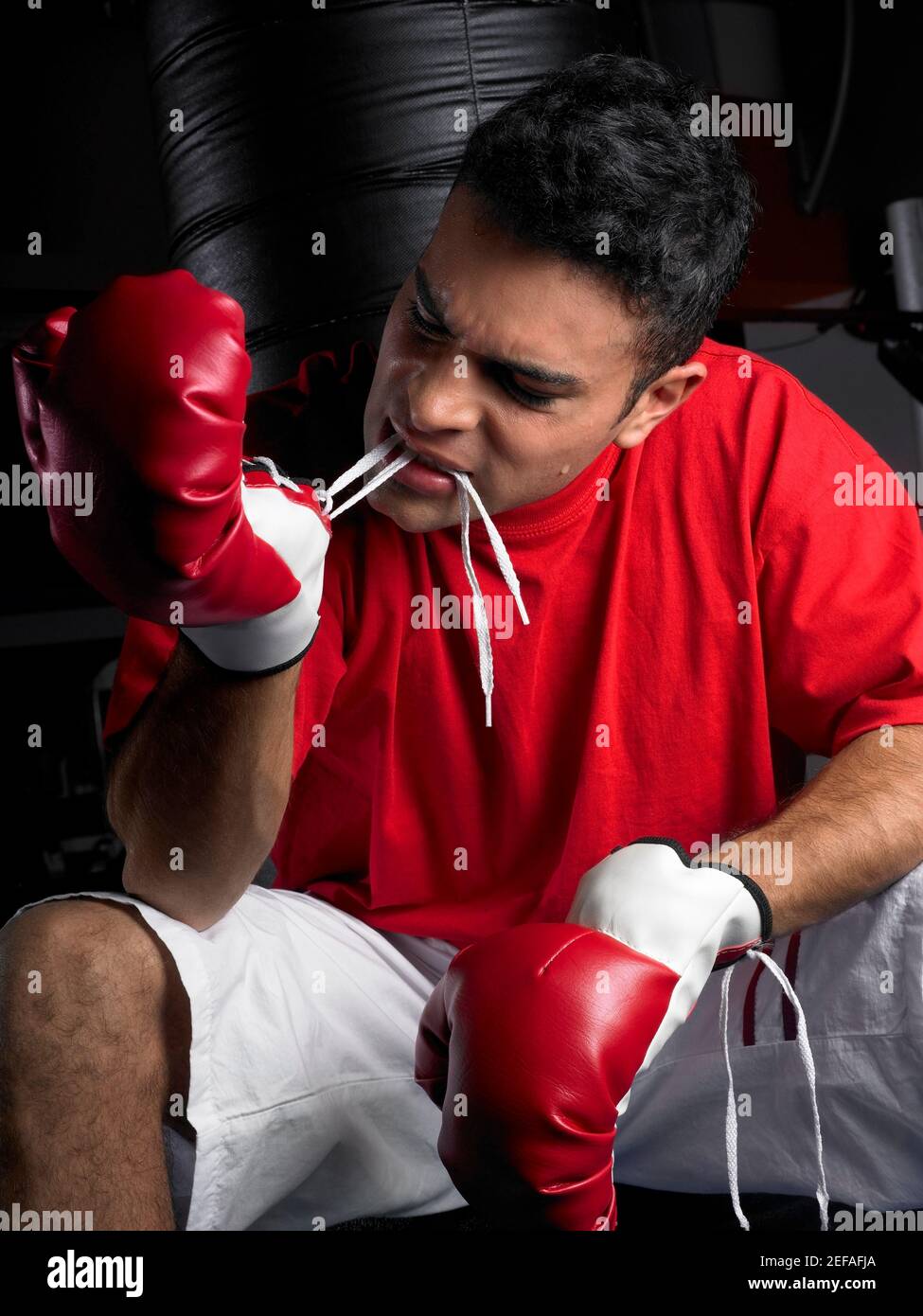 Male boxer wearing boxing gloves Stock Photo Alamy