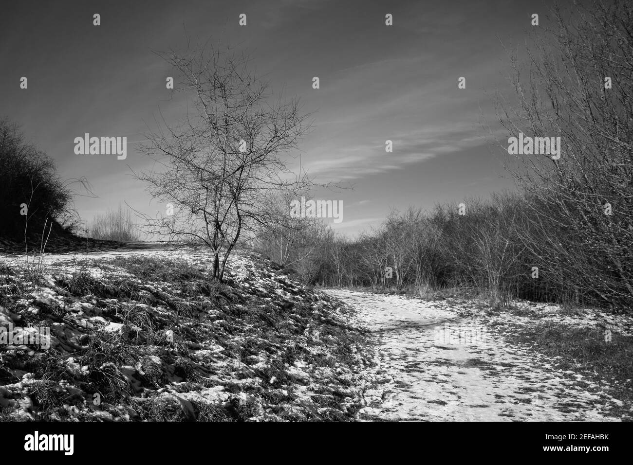 black and white winter landscape Stock Photo - Alamy