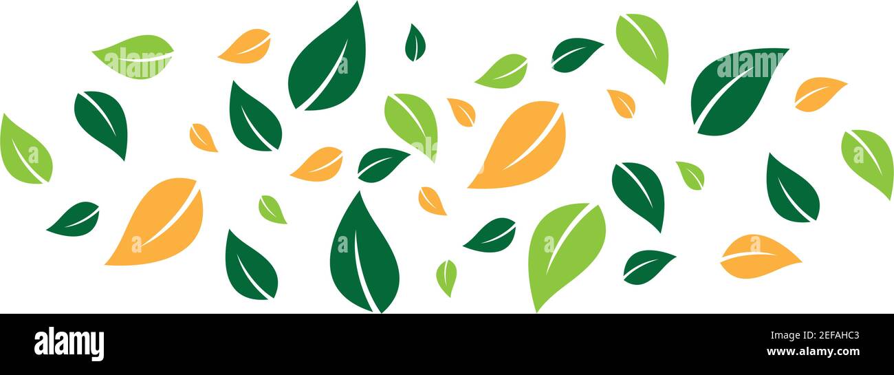 Natural leaf images illustration design Stock Vector Image & Art - Alamy
