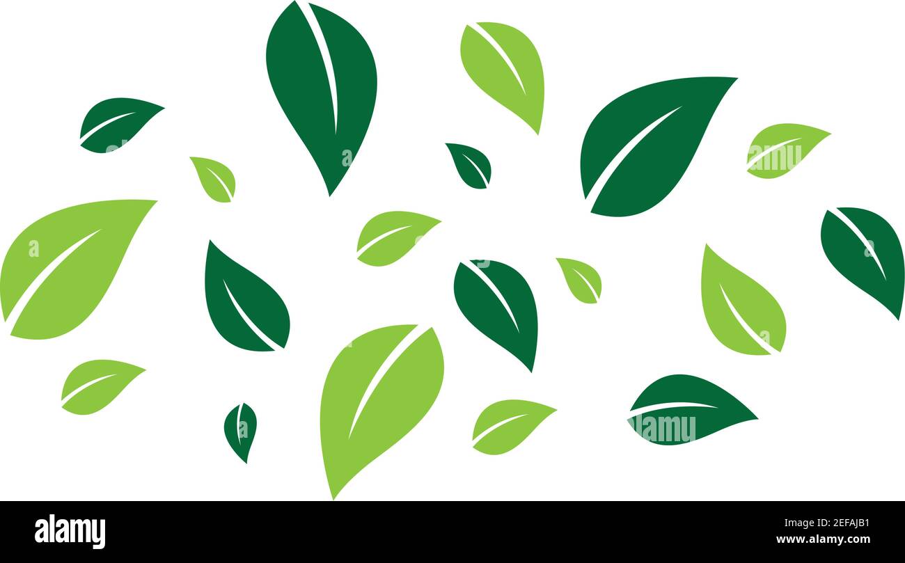 Natural leaf images illustration design Stock Vector Image & Art - Alamy