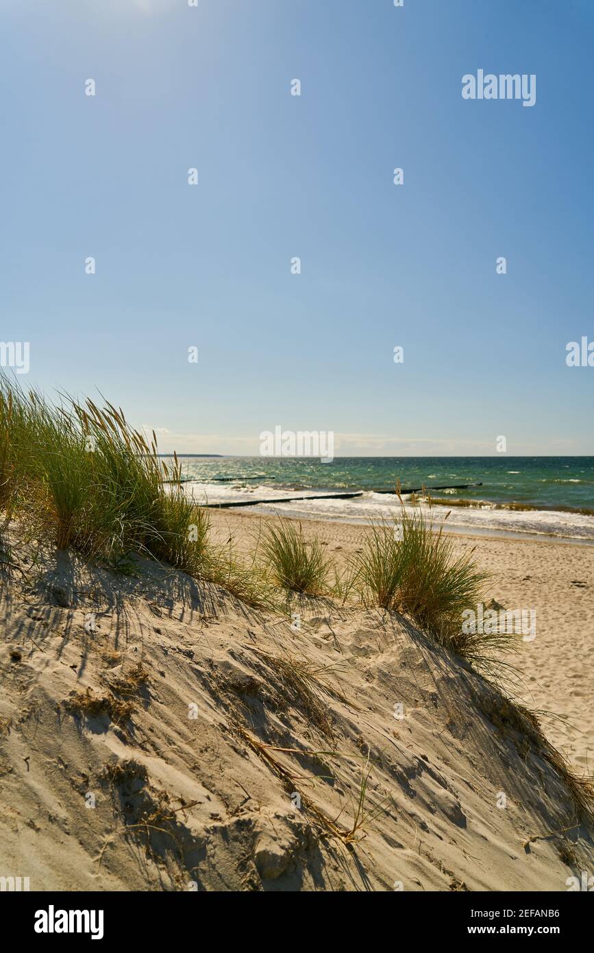 Dune on the sandy beach with sea and a blue sky in summer Stock Photo ...