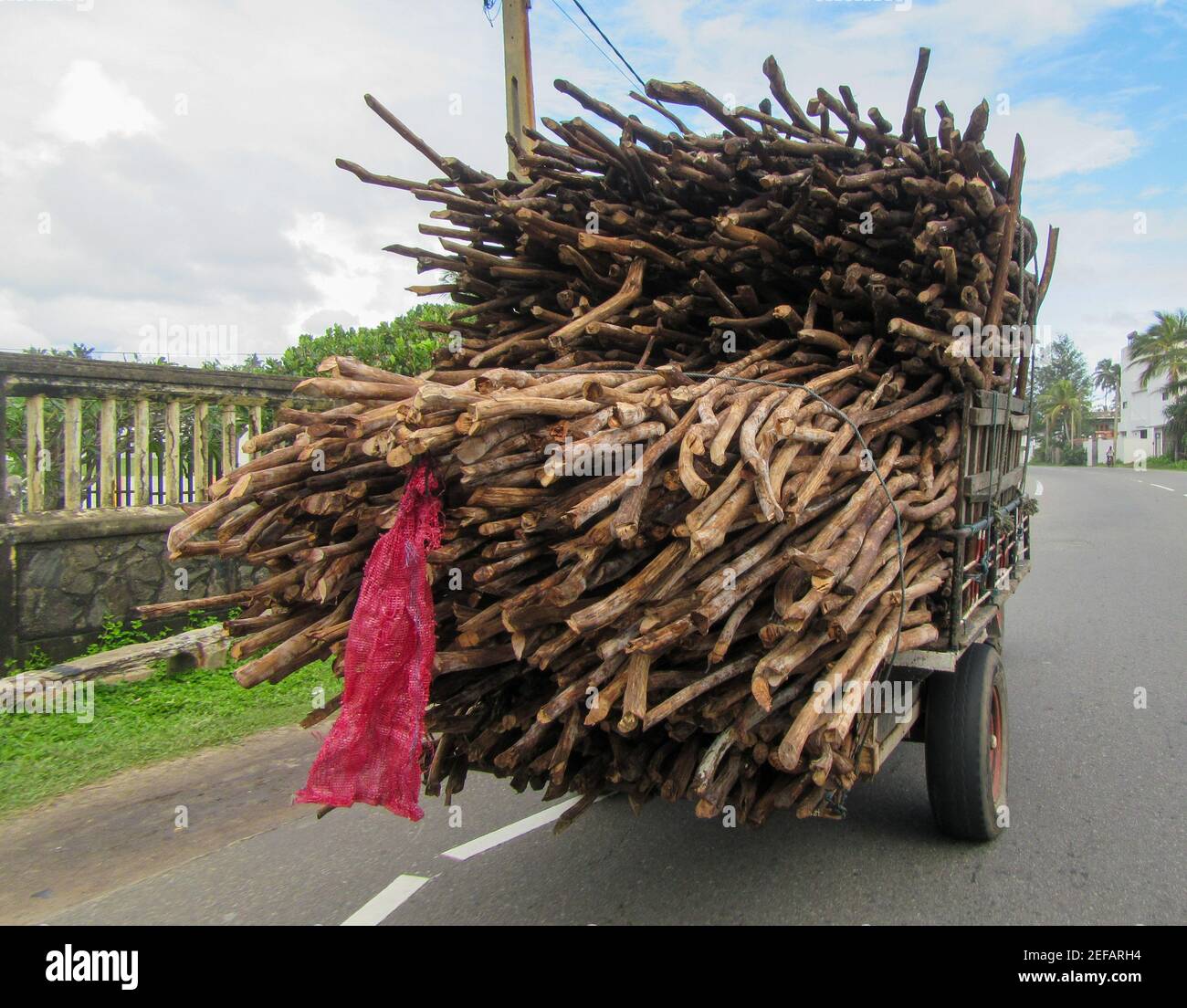 transporting cinnamon tree logs in Sri Lanka Stock Photo Alamy