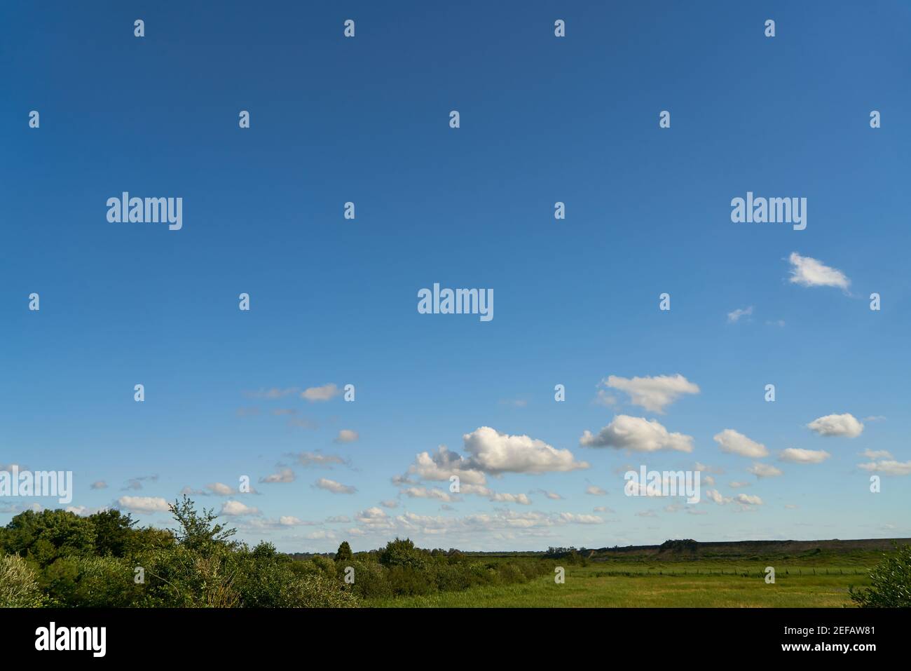 Grüne Wiese und blauer Himmel mit weißen Wolken im Sommer in Mecklenburg-Vorpommern Stock Photo