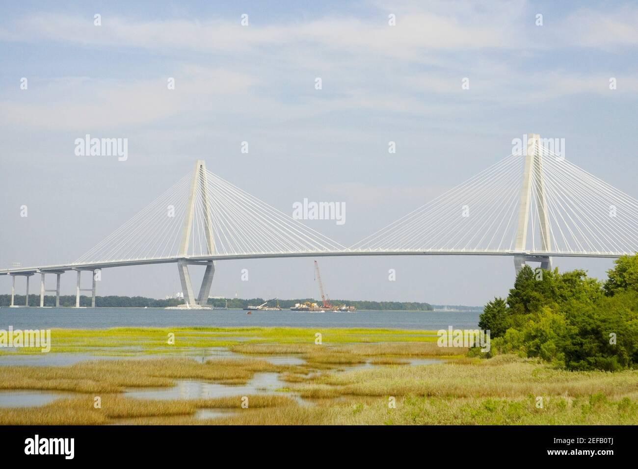 Suspension bridge across a river, Cooper River Bridge, Cooper River