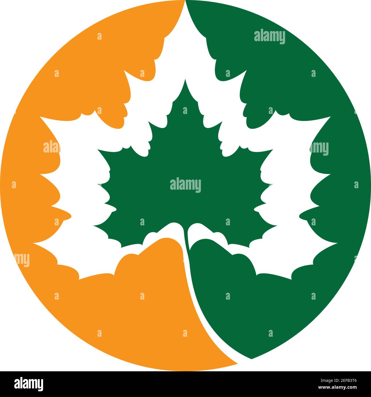 Maple leaf vector icon illustration Stock Vector Image & Art - Alamy