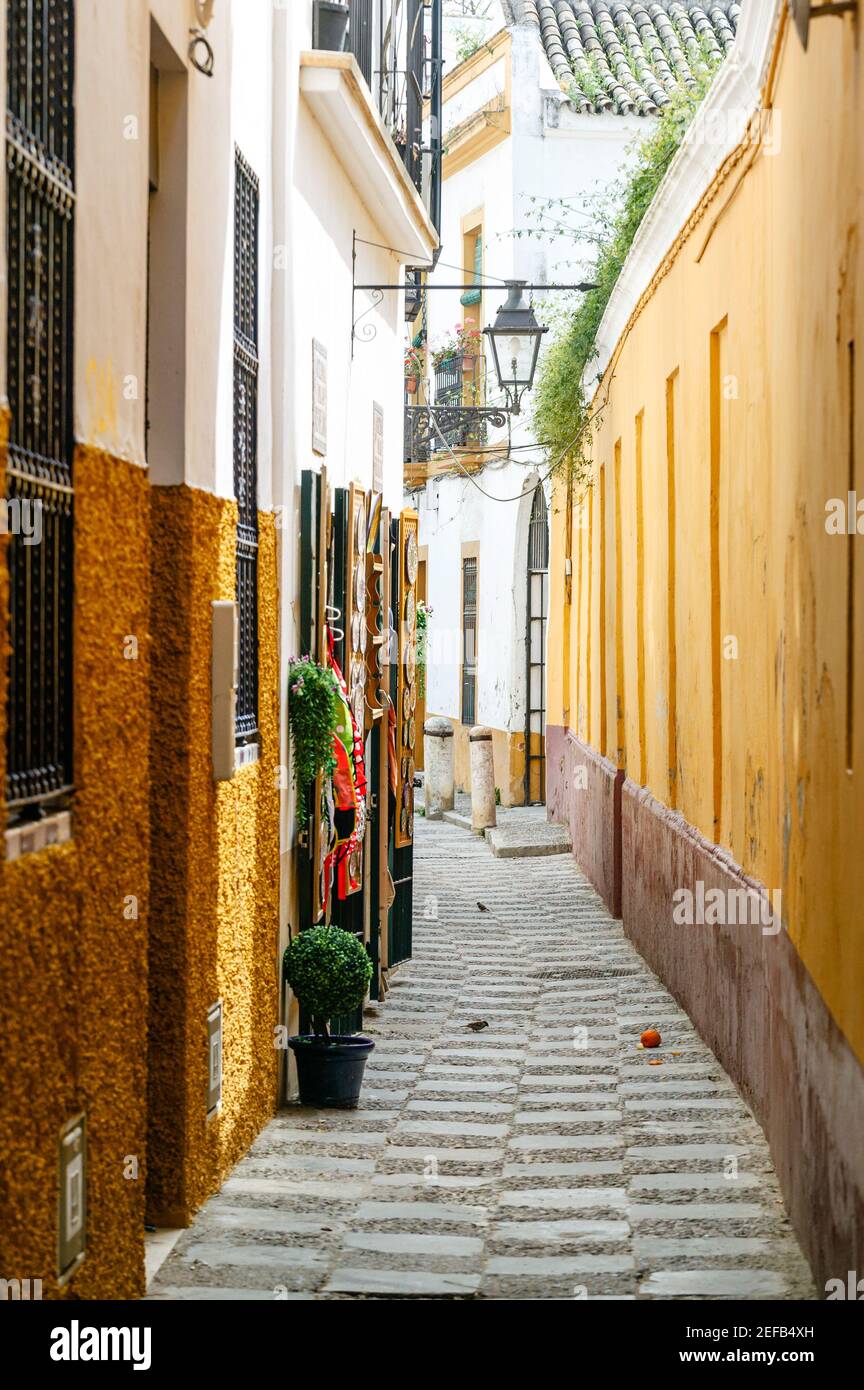 passageway, Vida, Santa Cruz, Seville, Andalucia, Spain Stock Photo
