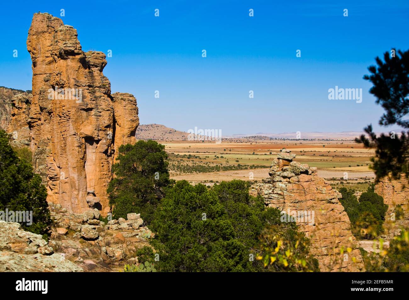 Rock formations on a landscape, Sierra De Organos, Sombrerete, Zacatecas State, Mexico Stock Photo