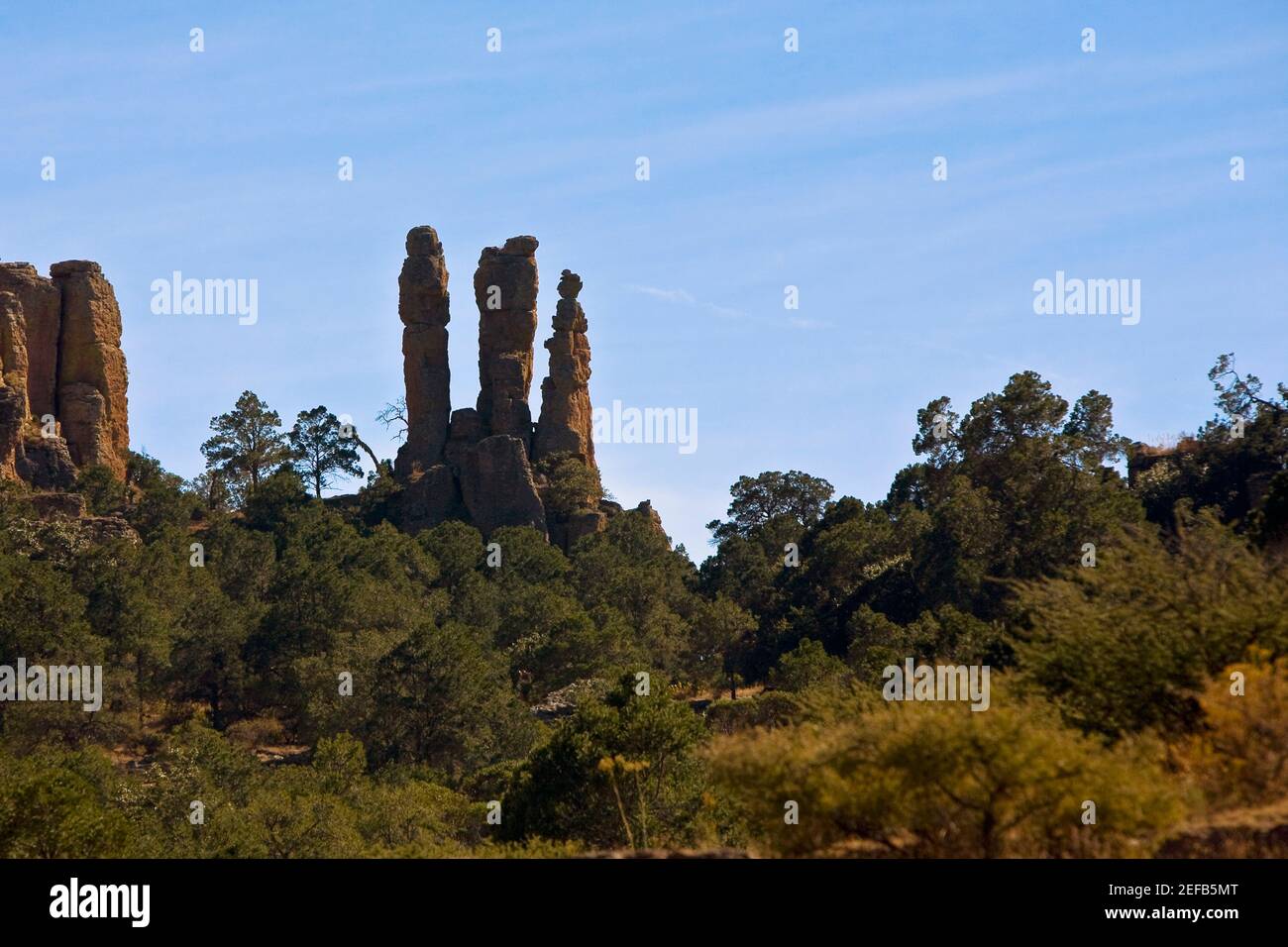 Rock formations in a forest, Sierra De Organos, Sombrerete, Zacatecas State, Mexico Stock Photo