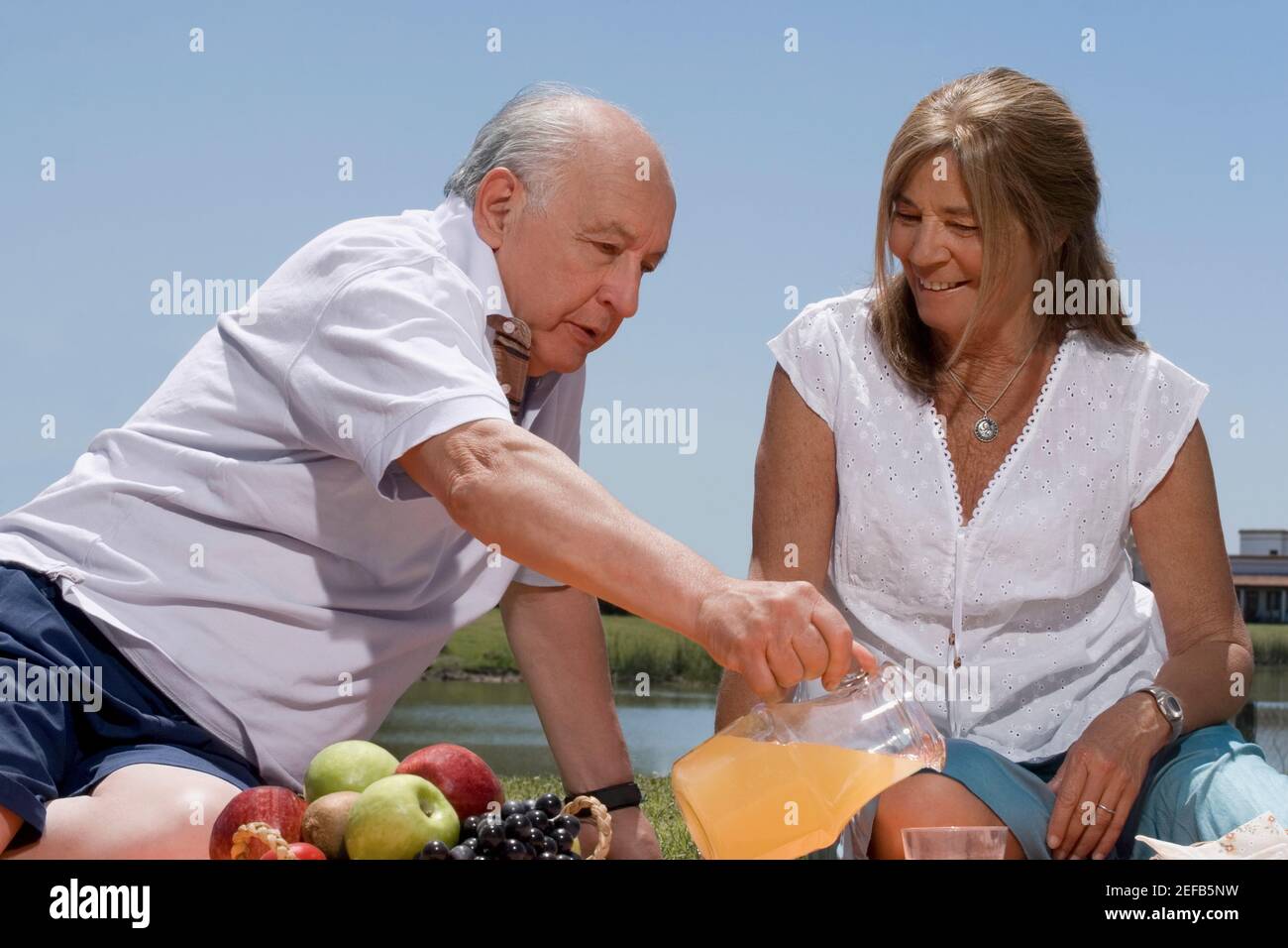 Senior couple at picnic Stock Photo