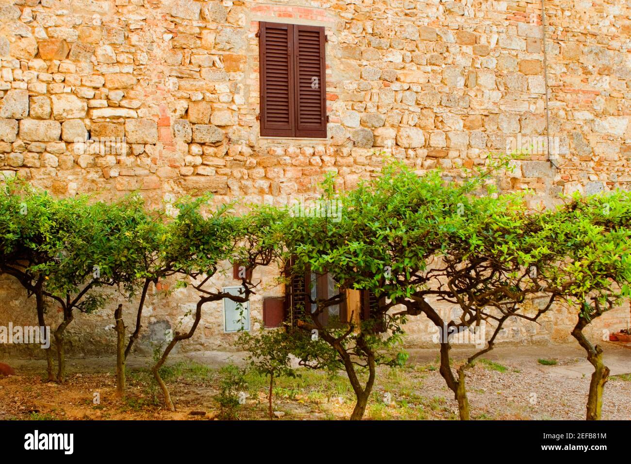 Backyard of a building, San Gimignano, Siena Province, Tuscany, Italy Stock Photo