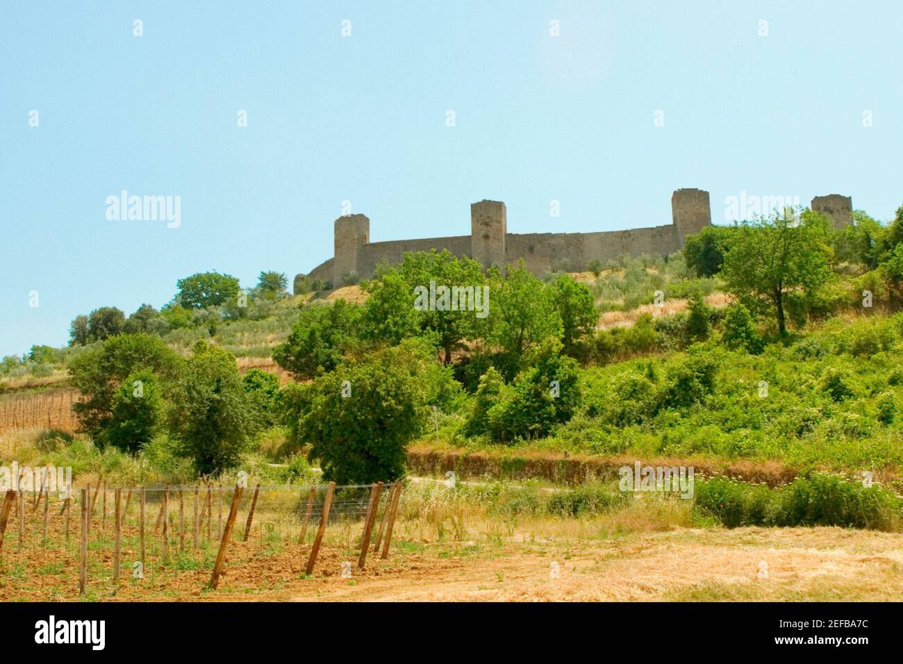 Trees on a hill in front of a fort, Monteriggioni, Siena Province ...