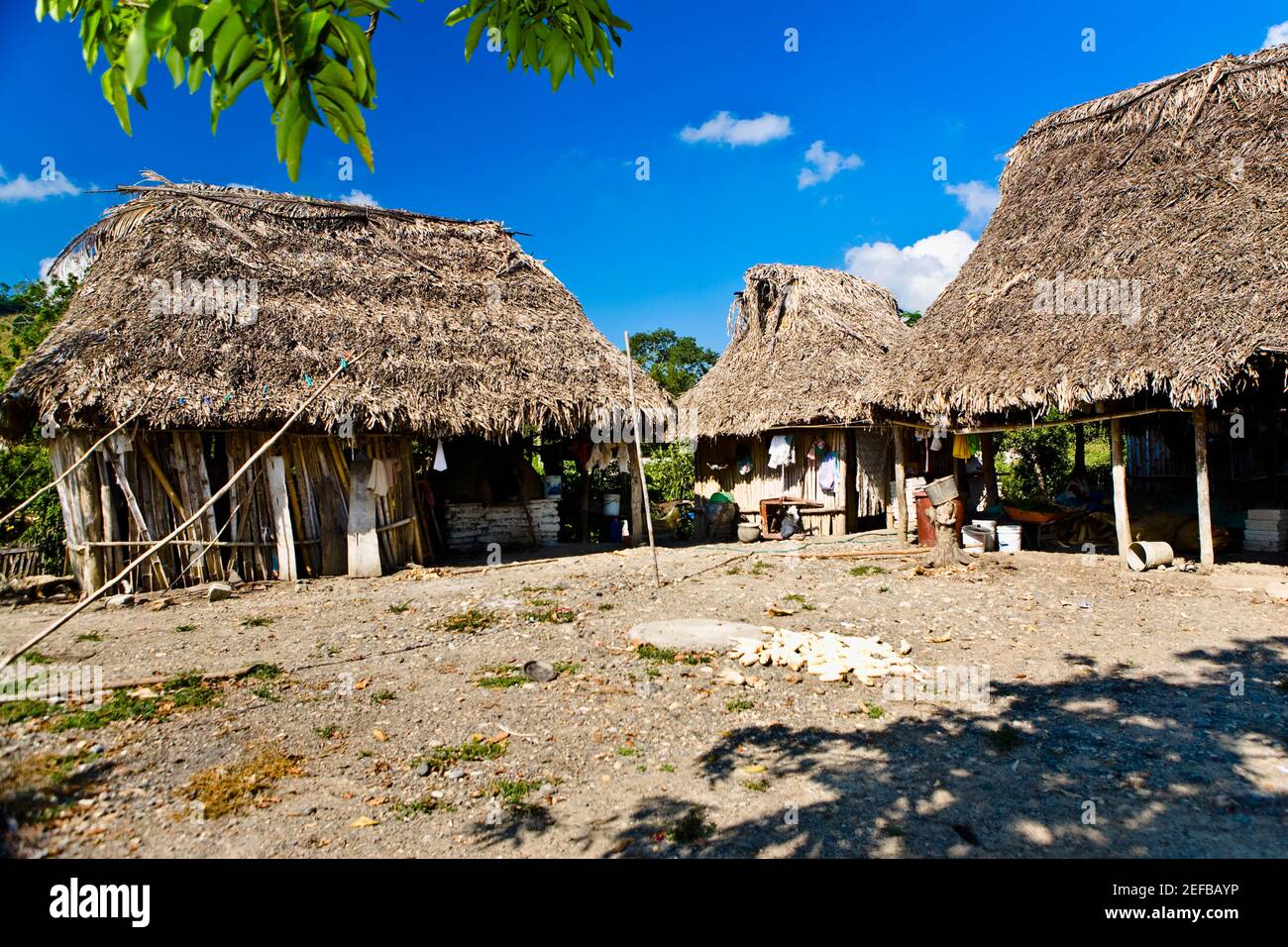 Houses in a village, Hidalgo, Papantla, Veracruz, Mexico Stock Photo