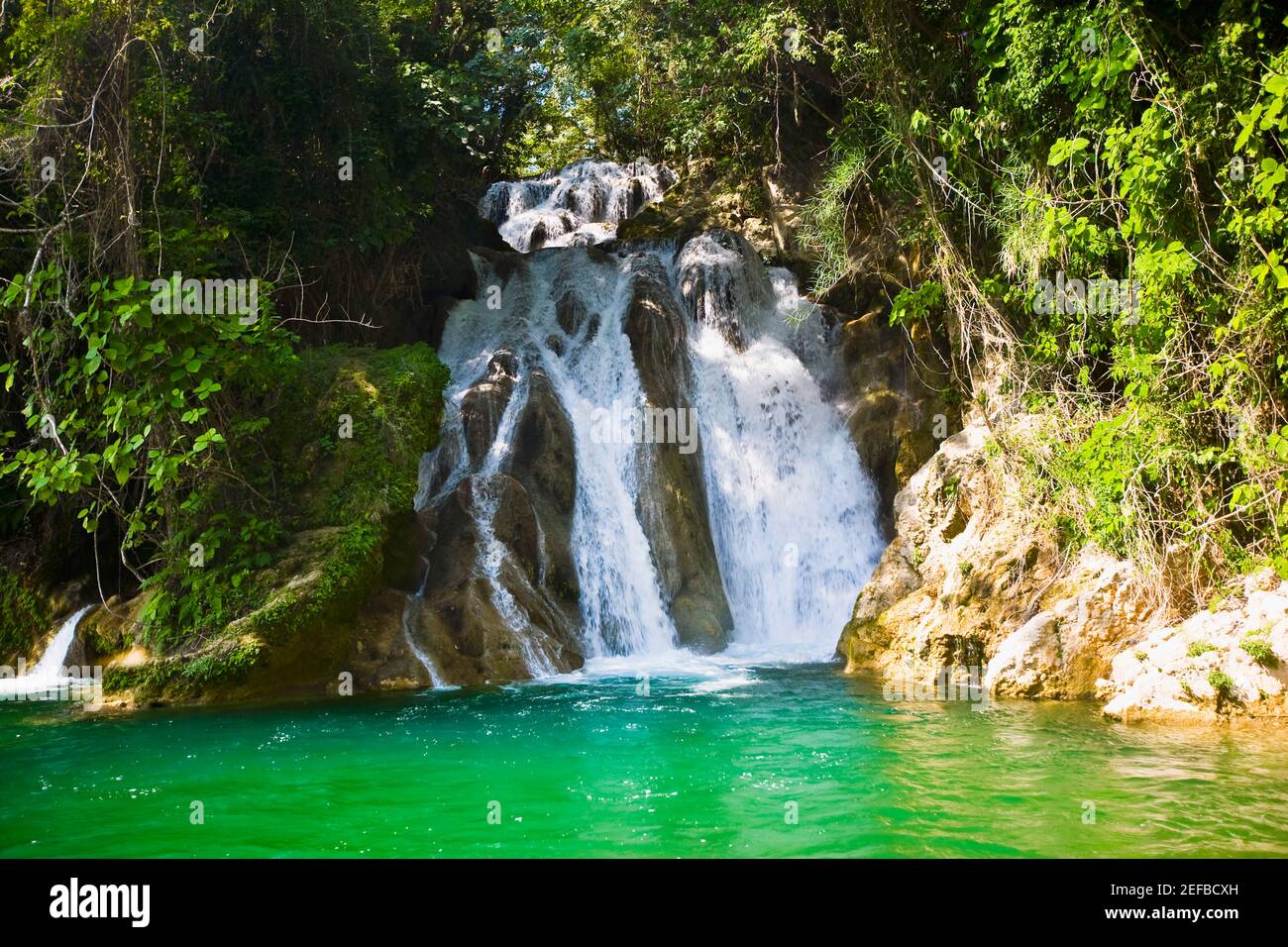 Waterfall in a forest, Tamasopo Waterfalls, Tamasopo, San luis Potosi, Mexico Stock Photo