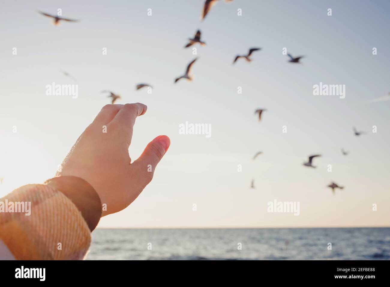 Woman reach out hand hi-res stock photography and images - Alamy