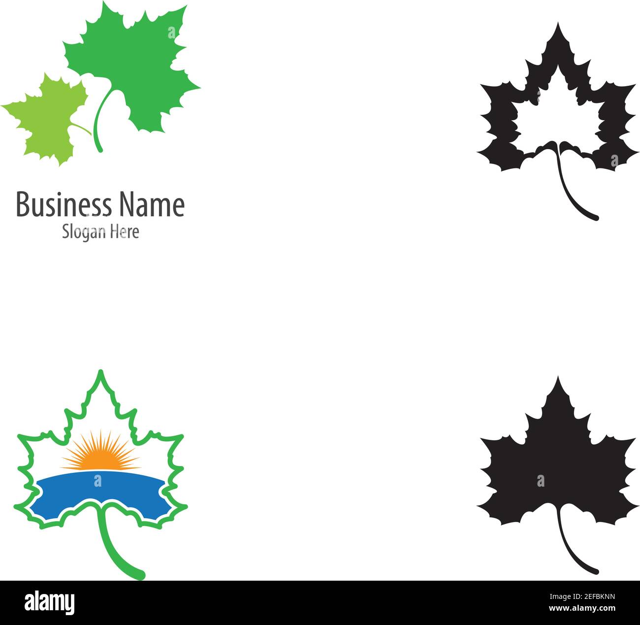 Maple leaf vector icon illustration Stock Vector Image & Art - Alamy