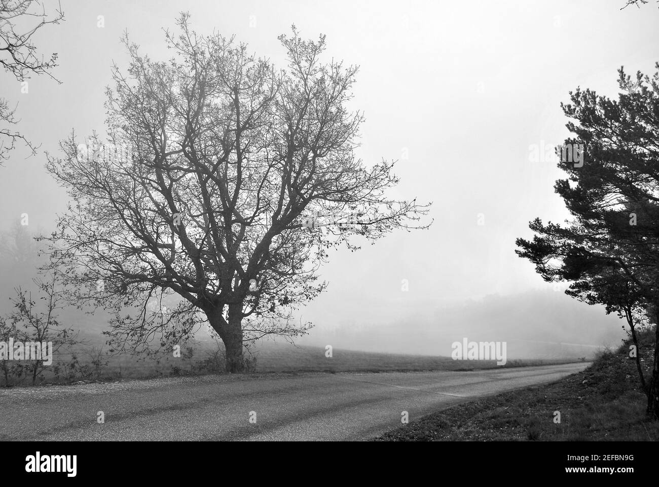 Dawn scenery and color Black and White Stock Photos & Images - Alamy