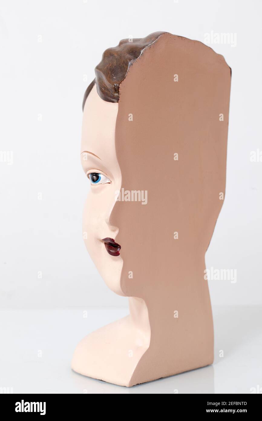 Male Head Model Mannequin Face Figure Stock Photo
