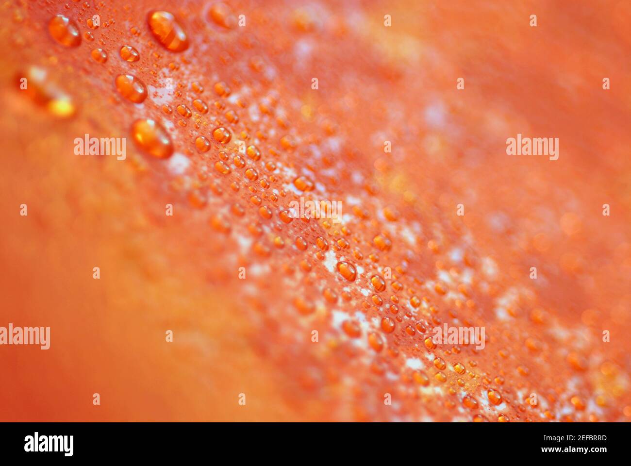 Close up of water droplets on a surface Stock Photo - Alamy