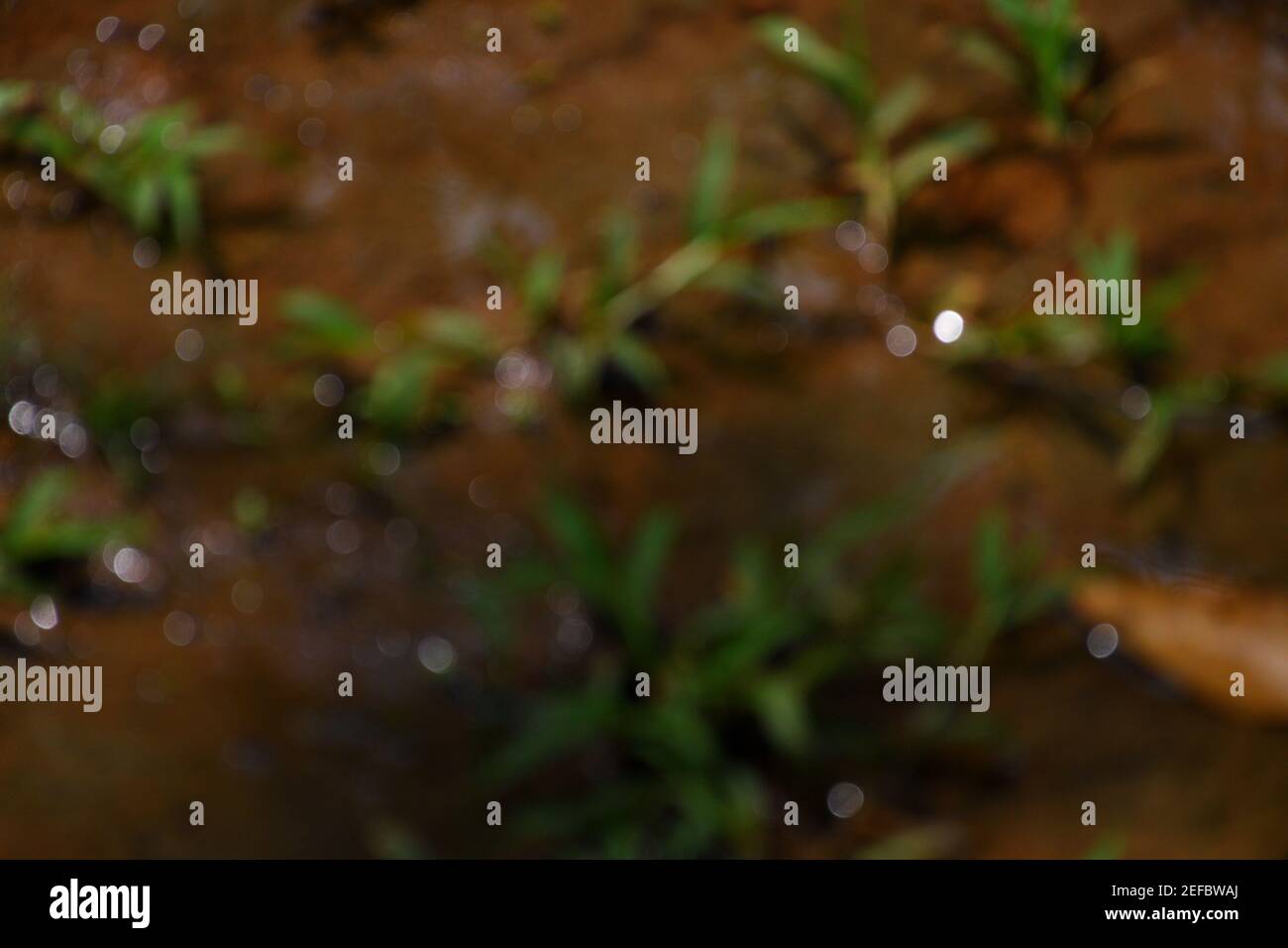 abstract background of reflections on ground Stock Photo