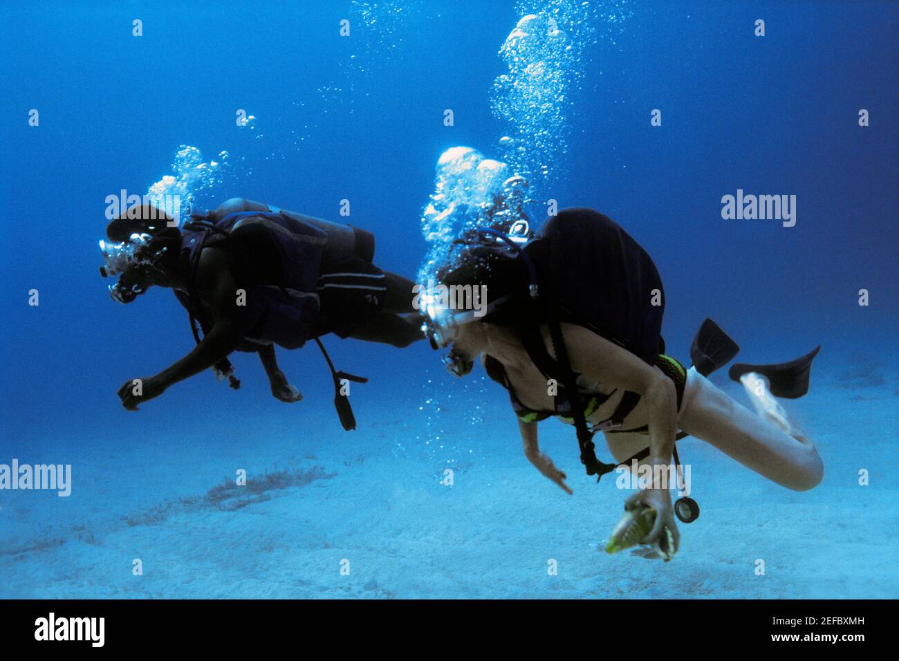 Scuba Divers are seen underwater in Jamaica Stock Photo Alamy