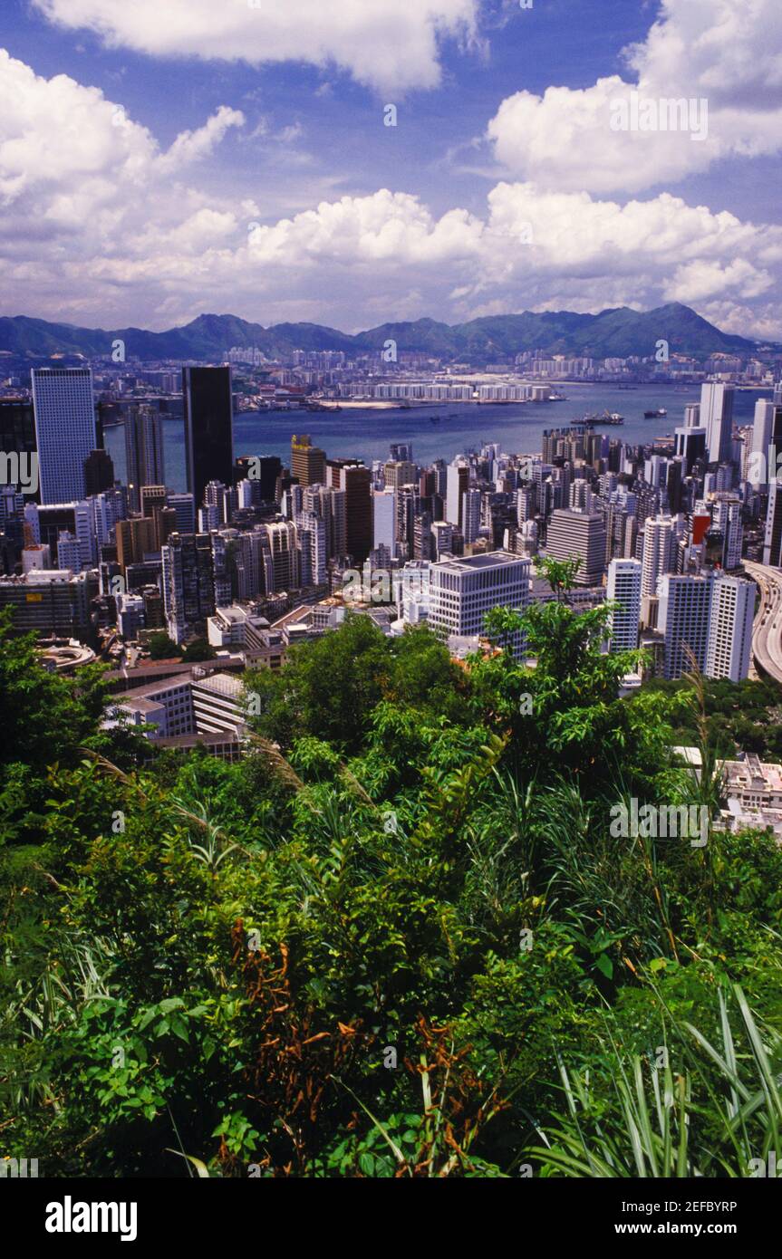 High angle view of buildings in a city, Hong Kong, China Stock Photo ...