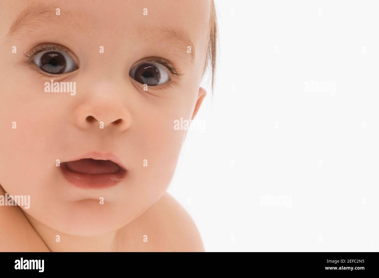 Portrait of a baby boy Stock Photo