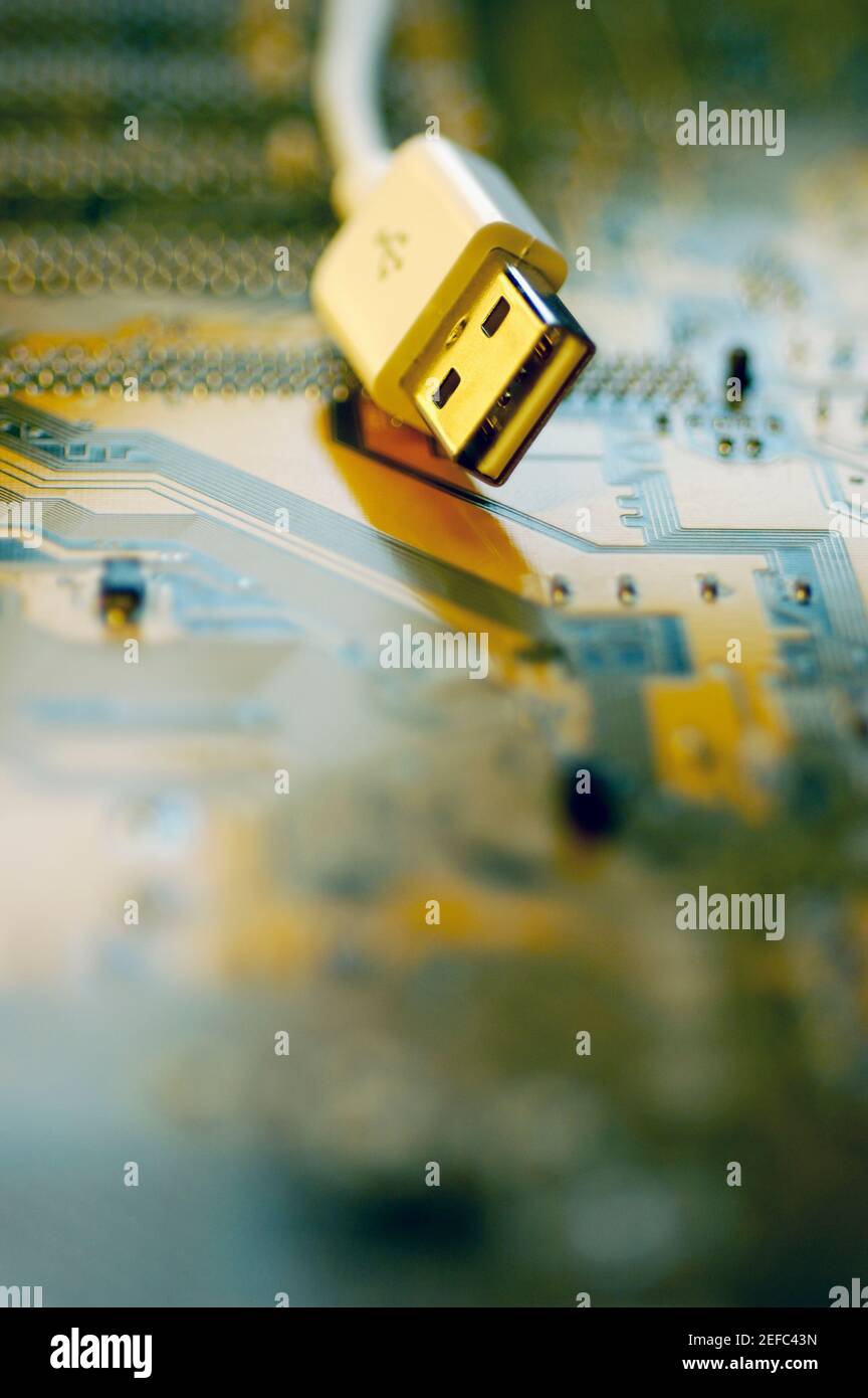 Close-up of a USB cable on a circuit board Stock Photo - Alamy