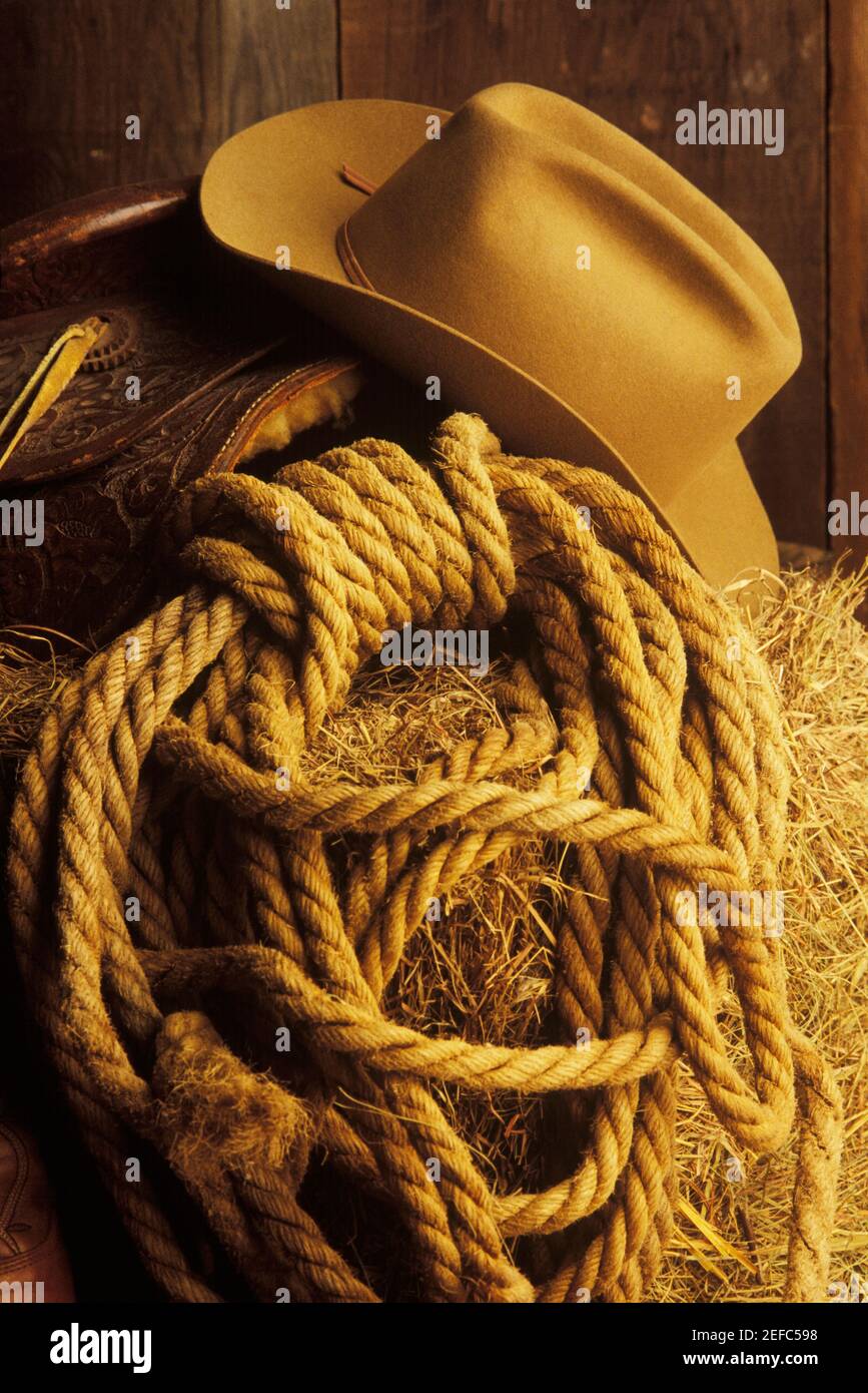 Miami Florida,Homestead,Championship Rodeo,cowboy,rope,lasso,man men male, hat,lifestyle,FL060130476 Stock Photo - Alamy