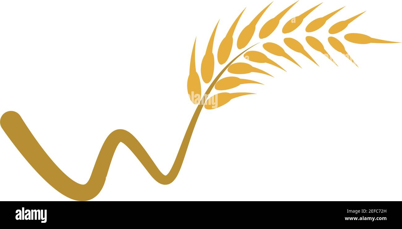 Agriculture wheat logo template vector icon design Stock Vector
