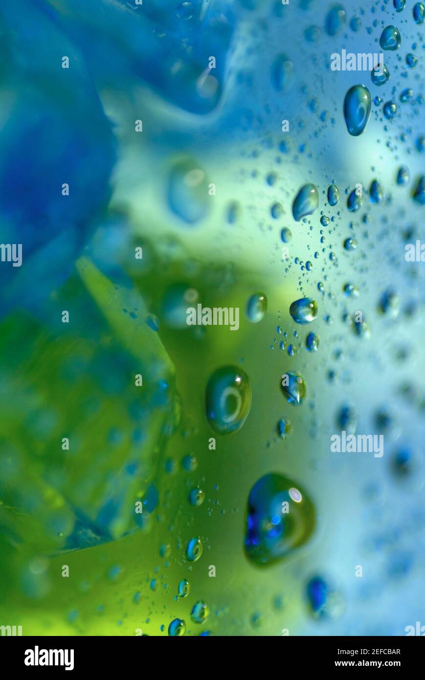 Close-up of water drops on a surface Stock Photo - Alamy