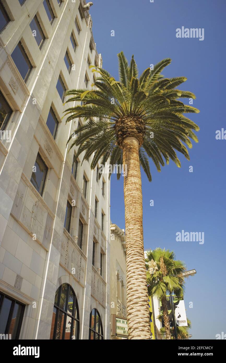 Low angle view of a building, Hollywood First National Building, Hollywood, Los Angeles, California, USA Stock Photo