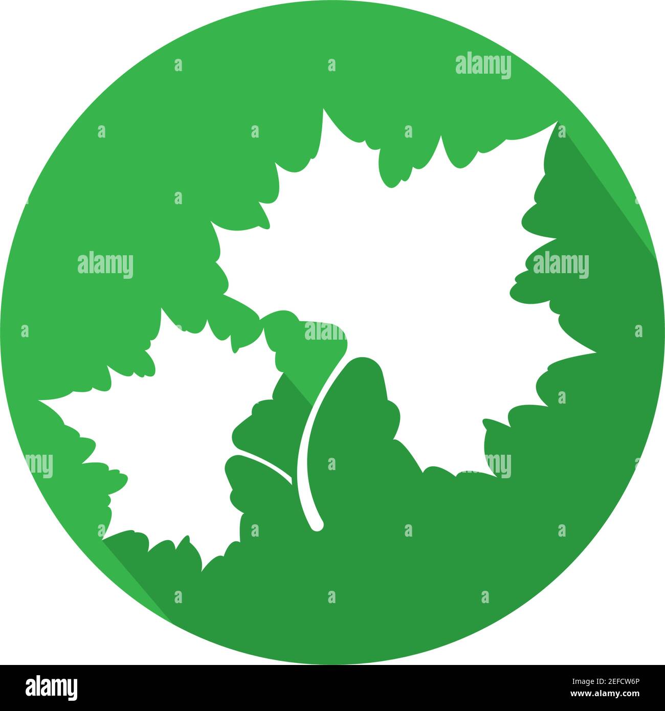 Maple leaf vector icon illustration Stock Vector Image & Art - Alamy