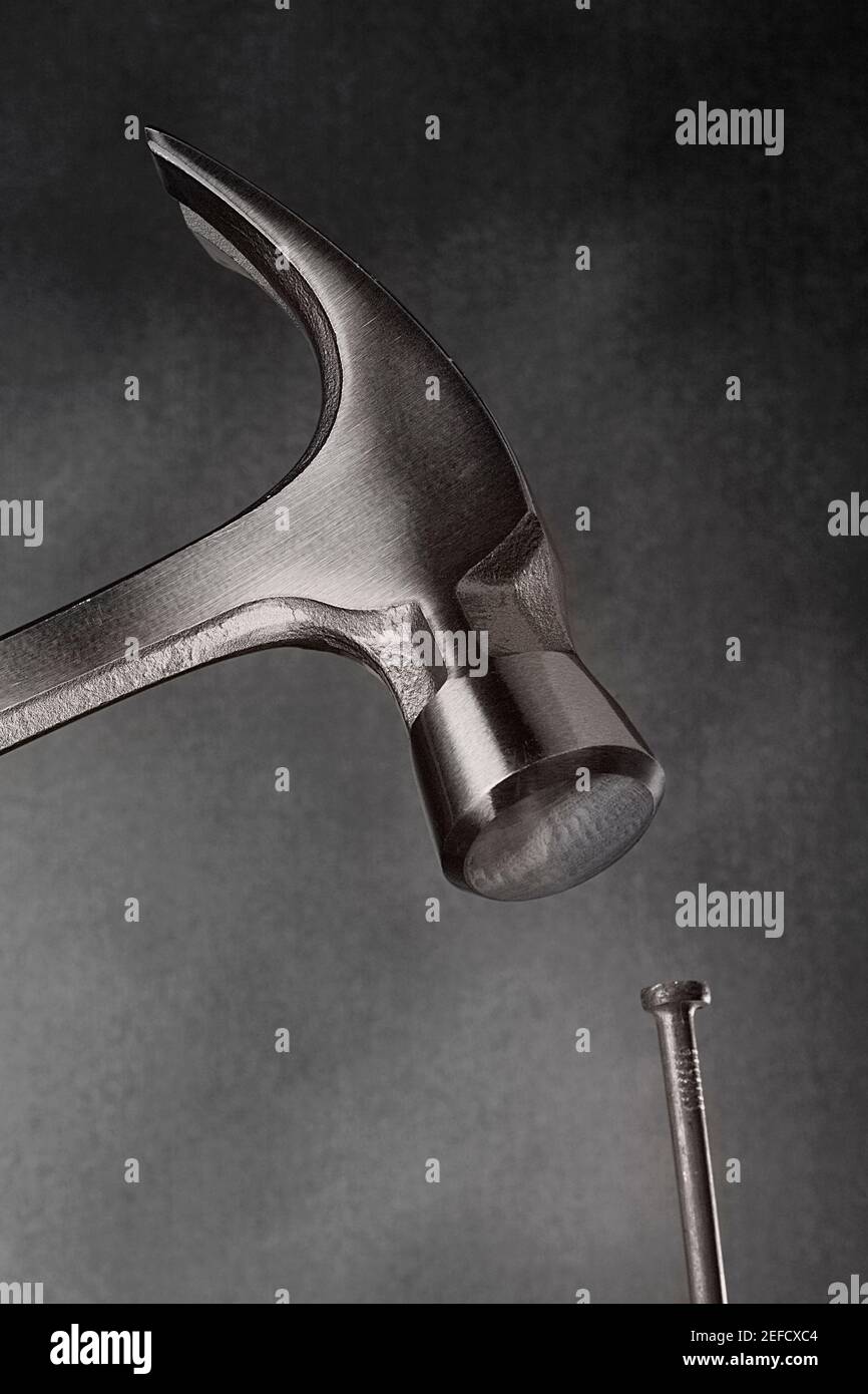 Close up of a claw hammer hitting a nail Stock Photo Alamy