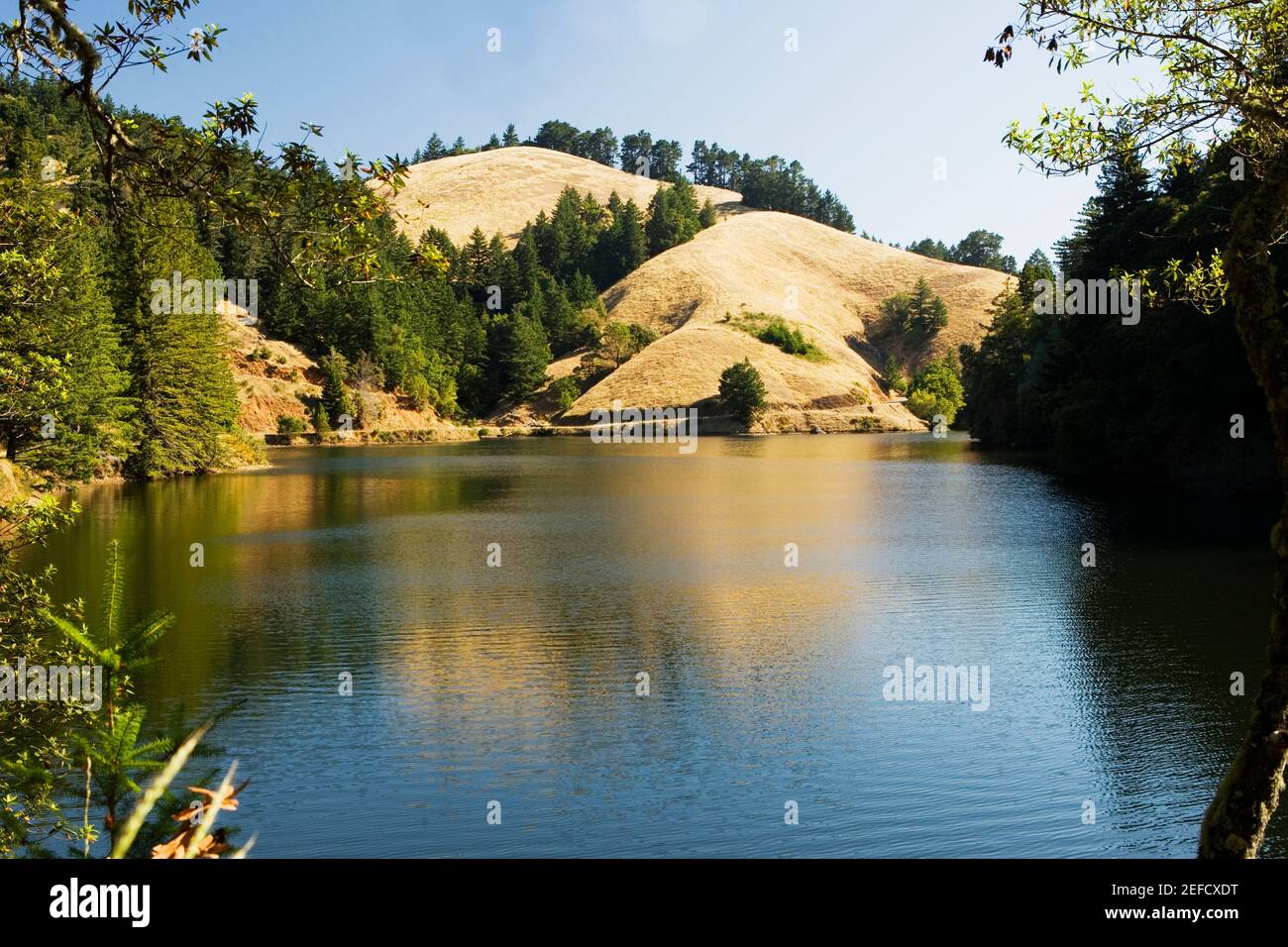 Panoramic view of a lake, Mt. Tamalpais State Park, California, USA Stock Photo