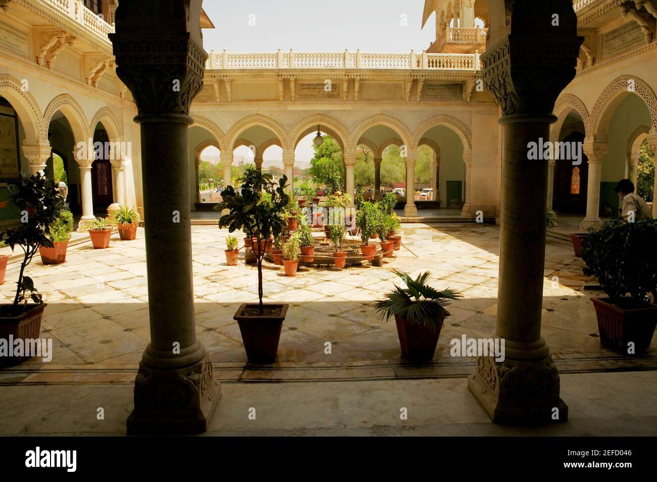 Potted plants in the courtyard of a museum, Government Central Museum